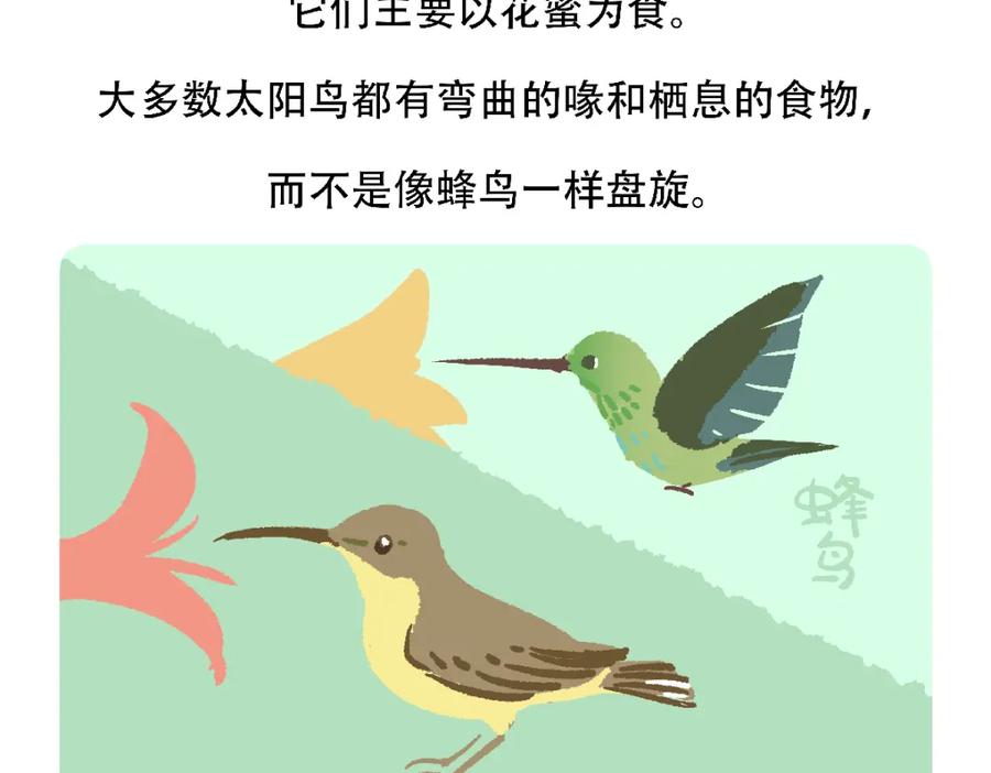 《胖达x胖达》第126话 第28页