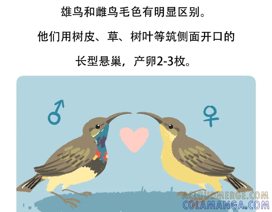 《胖达x胖达》第126话 第31页