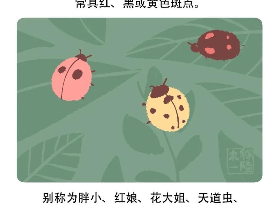 《胖达x胖达》第127话 第28页