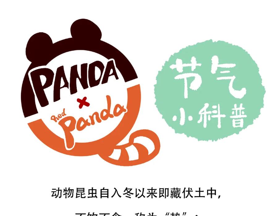 《胖达x胖达》第127话 第20页