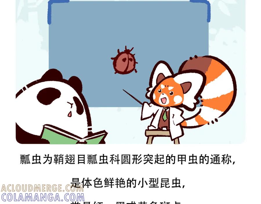 《胖达x胖达》第127话 第27页