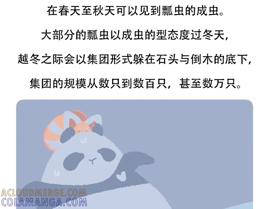 《胖达x胖达》第127话 第31页