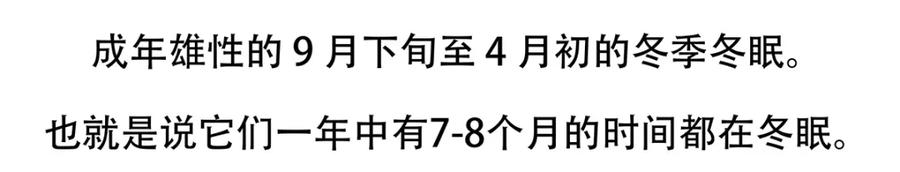 《胖达x胖达》第128话 第22页