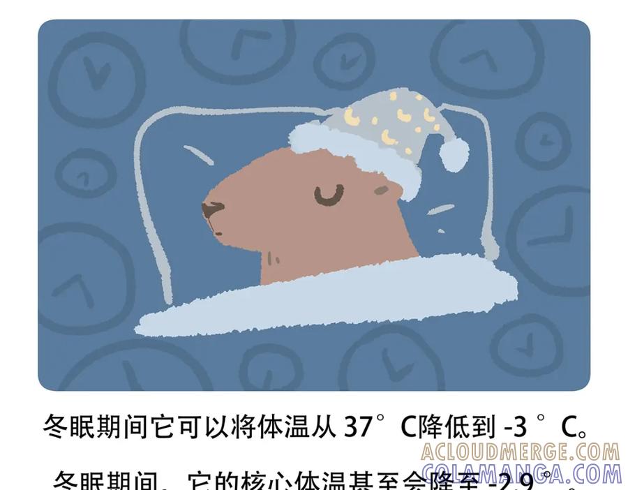 《胖达x胖达》第128话 第23页