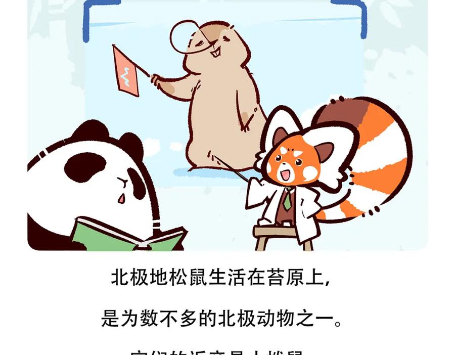 《胖达x胖达》第128话 第20页