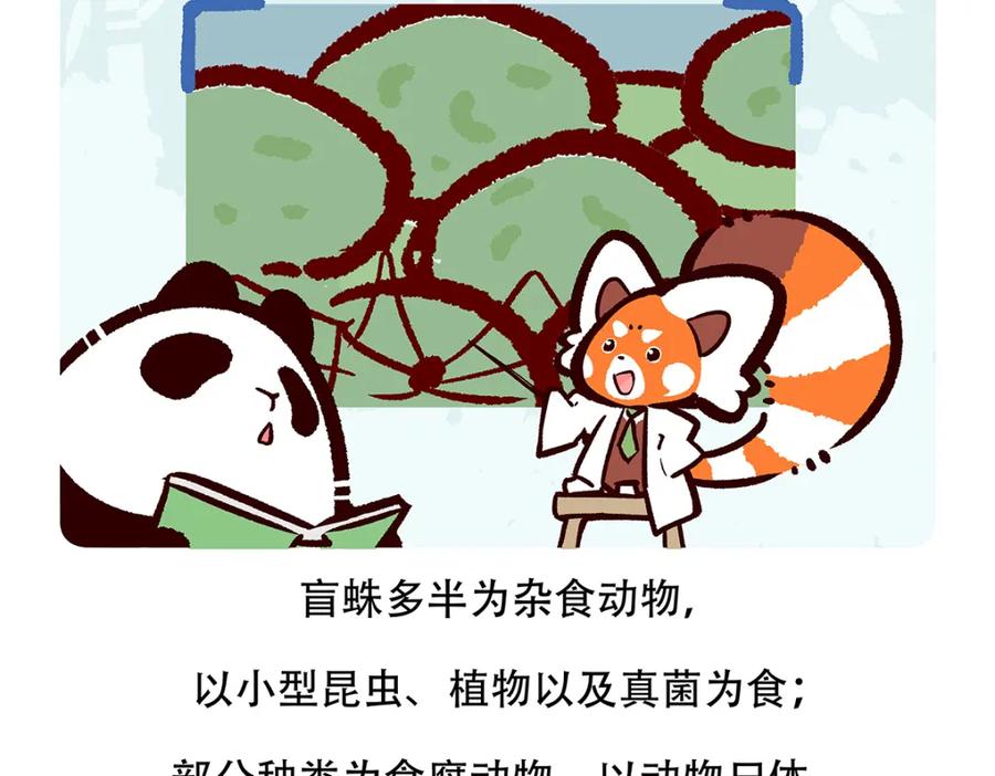 《胖达x胖达》第129话 第20页