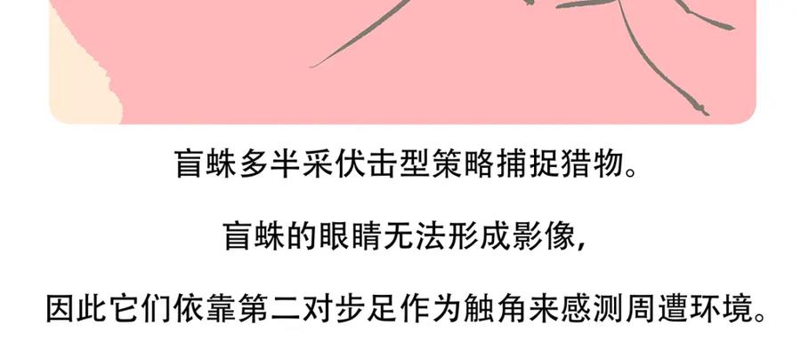 《胖达x胖达》第129话 第22页