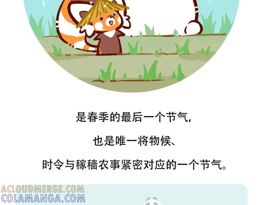《胖达x胖达》第130话 第29页