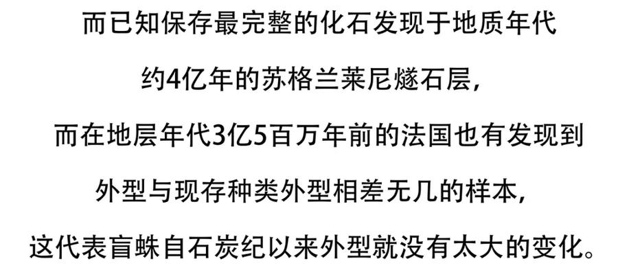 《胖达x胖达》第130话 第22页