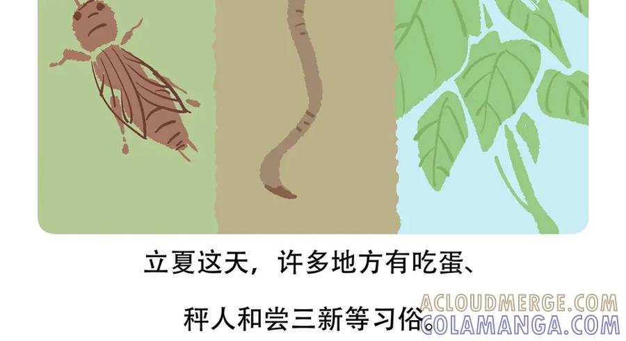 《胖达x胖达》第131话 第29页