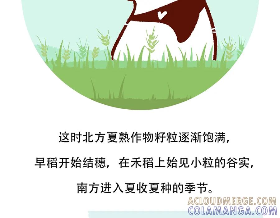 《胖达x胖达》第132话 第29页