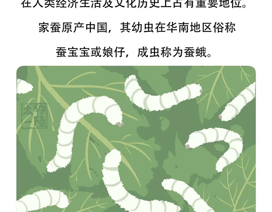 《胖达x胖达》第132话 第22页