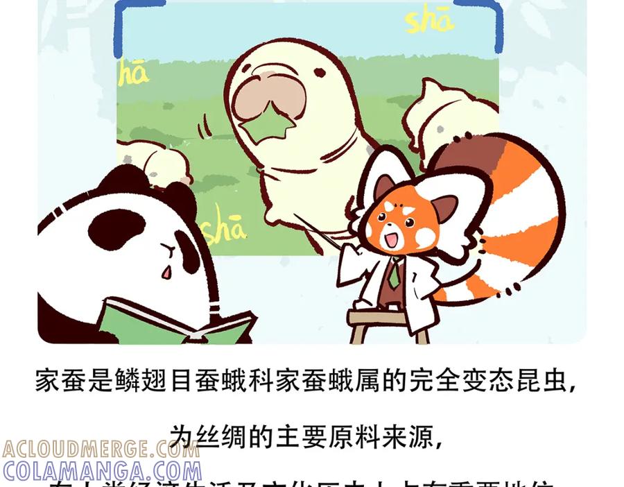 《胖达x胖达》第132话 第21页