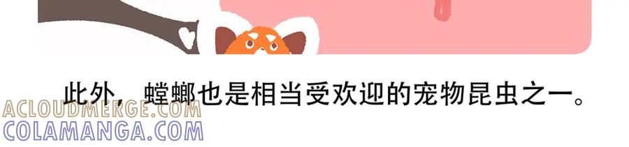 《胖达x胖达》第133话 第25页