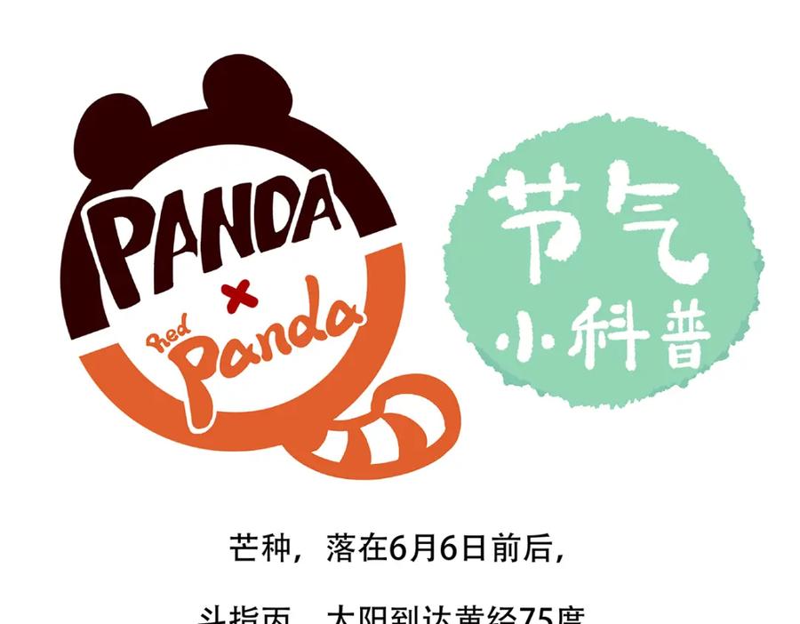 《胖达x胖达》第133话 第26页