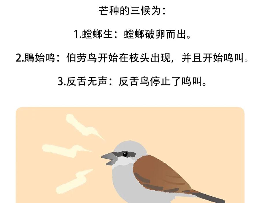 《胖达x胖达》第133话 第30页
