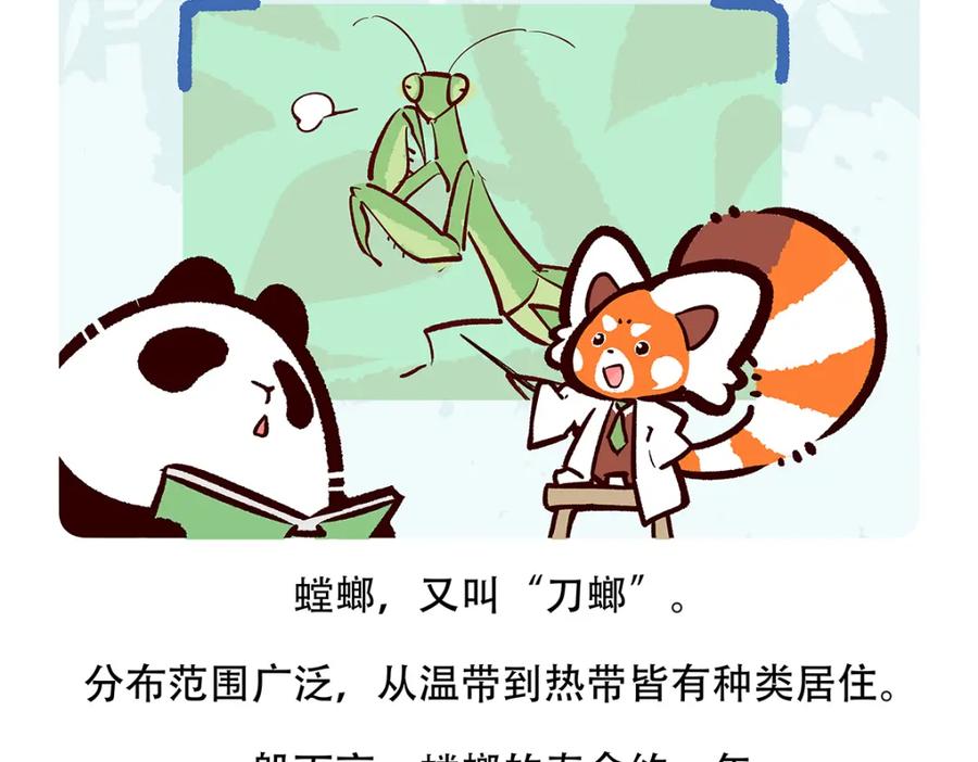 《胖达x胖达》第133话 第20页