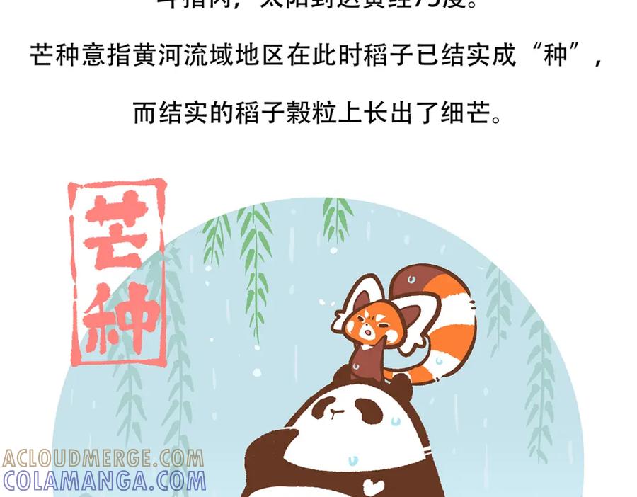 《胖达x胖达》第133话 第27页