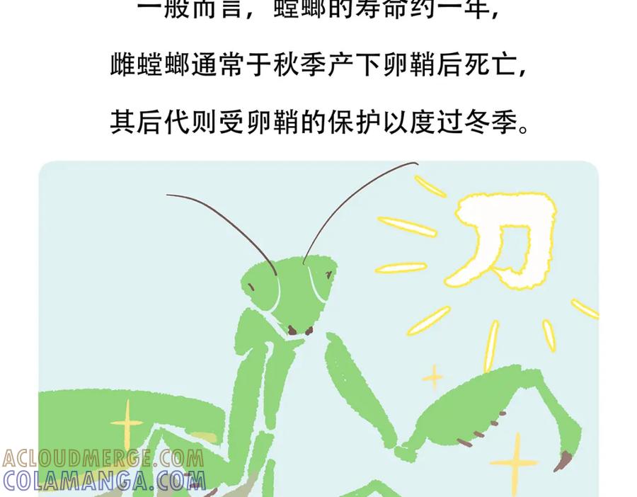 《胖达x胖达》第133话 第21页