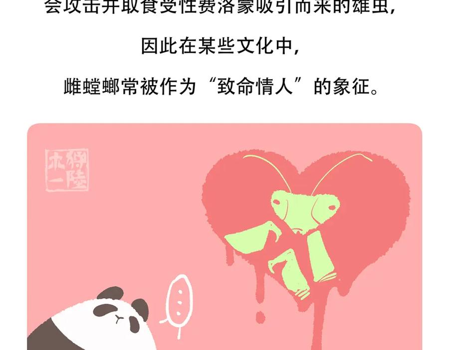 《胖达x胖达》第133话 第24页