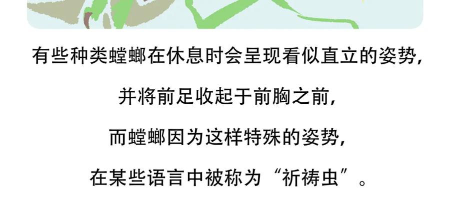 《胖达x胖达》第133话 第22页