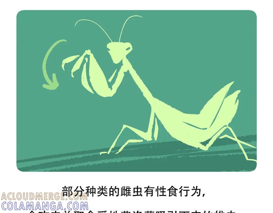 《胖达x胖达》第133话 第23页