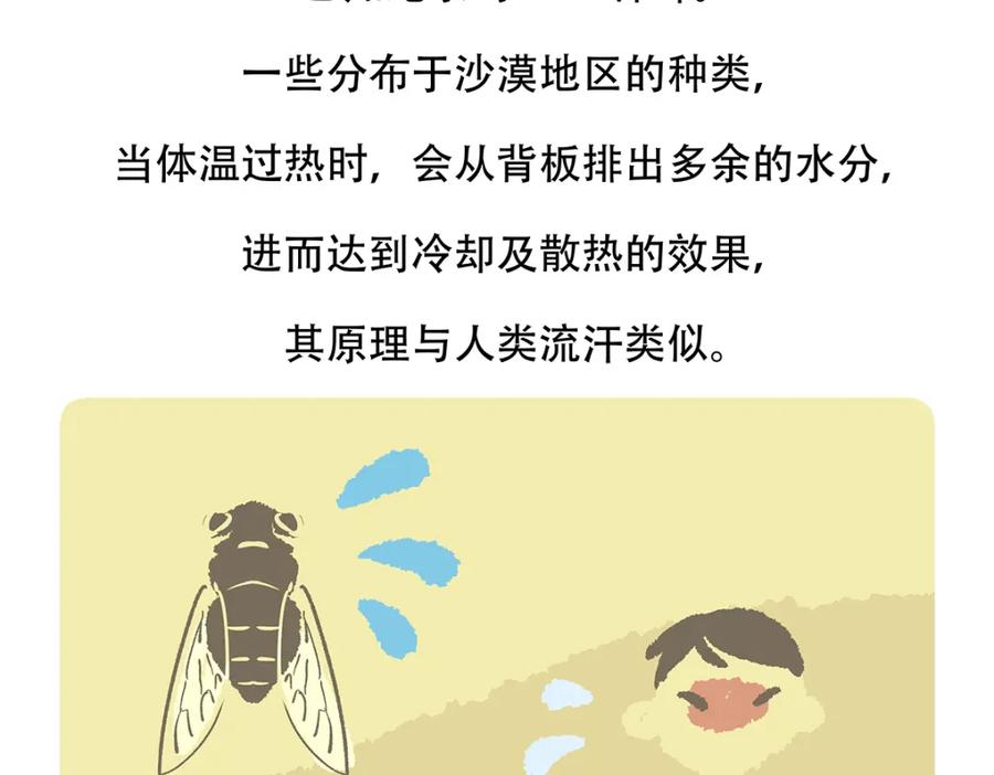 《胖达x胖达》第134话 第24页