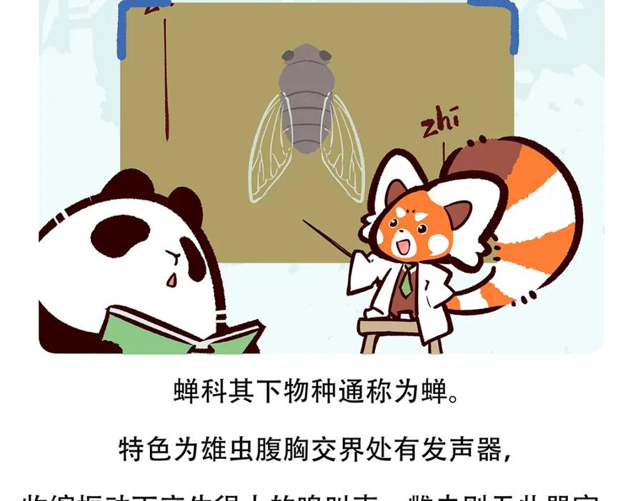《胖达x胖达》第134话 第20页