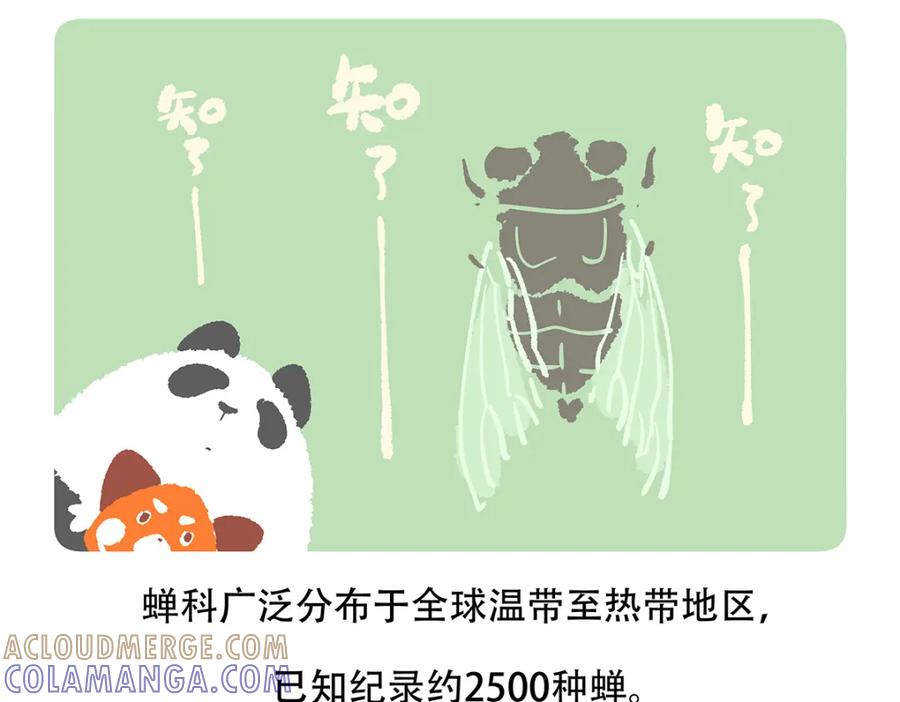 《胖达x胖达》第134话 第23页