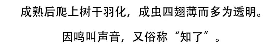 《胖达x胖达》第134话 第22页