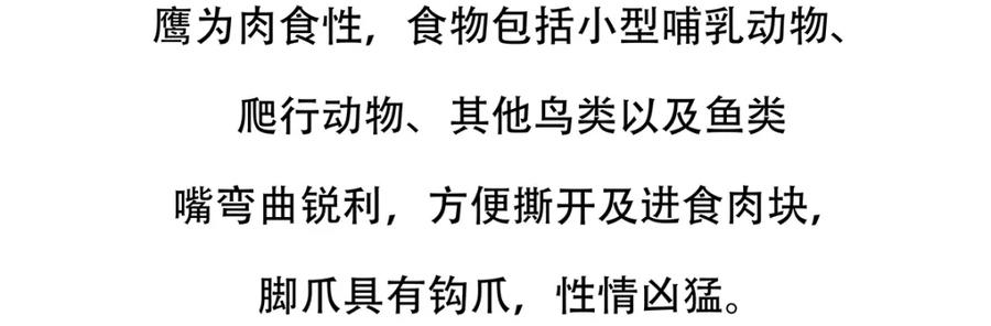 《胖达x胖达》第135话 第22页