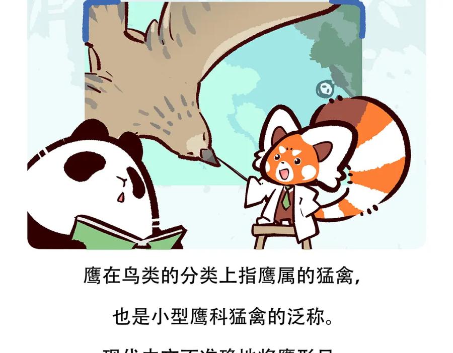 《胖达x胖达》第135话 第20页