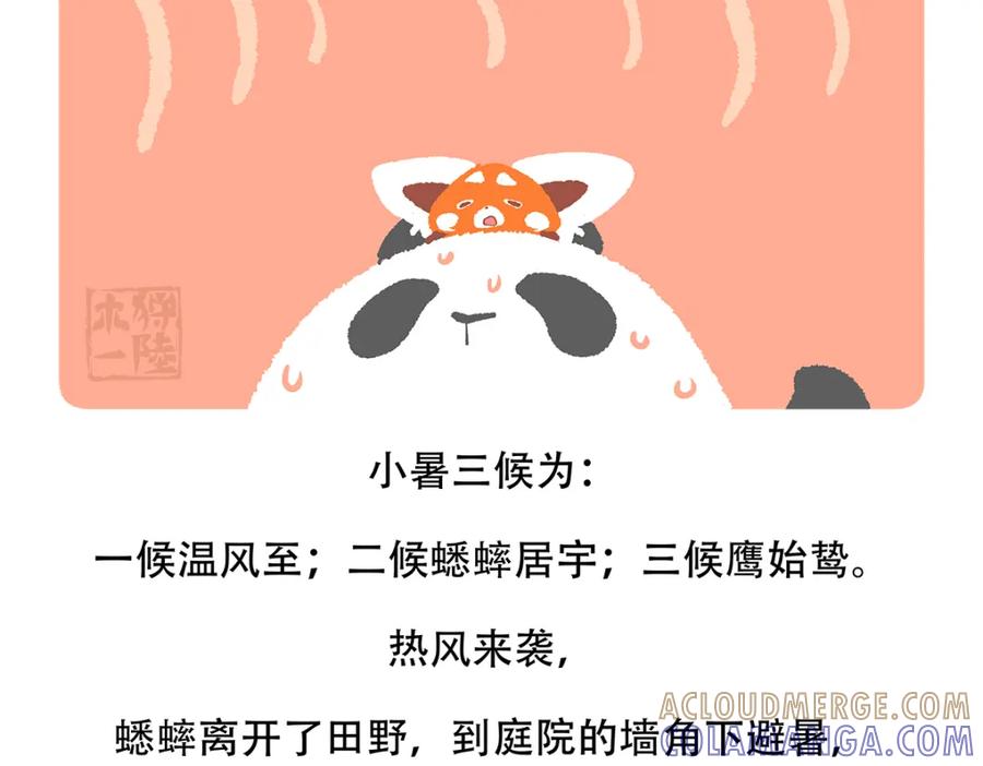 《胖达x胖达》第135话 第29页