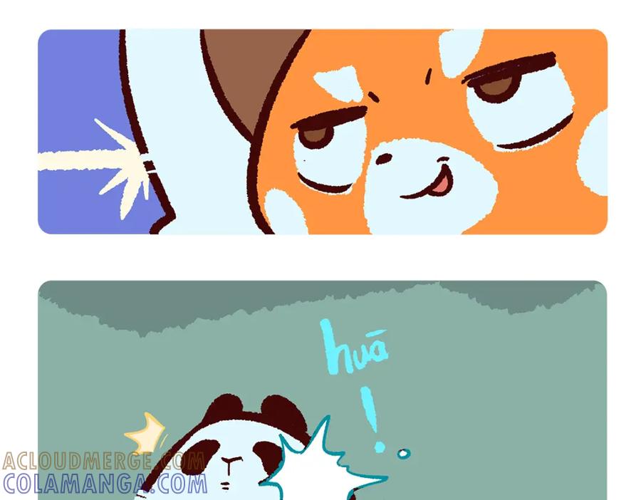 《胖达x胖达》第135话 第11页