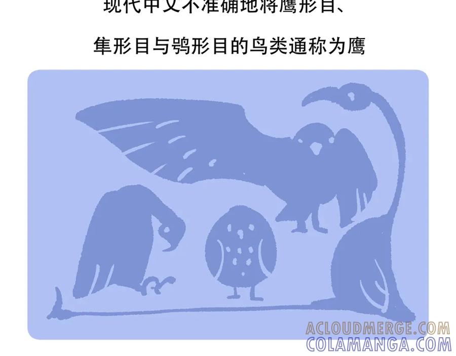 《胖达x胖达》第135话 第21页