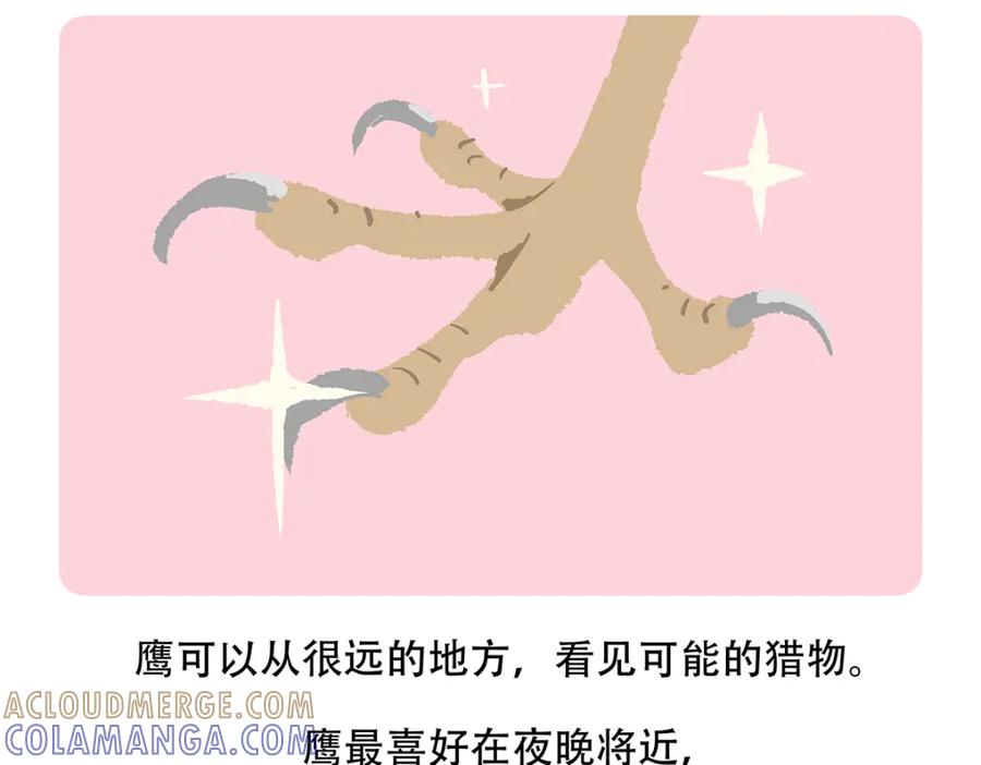 《胖达x胖达》第135话 第23页