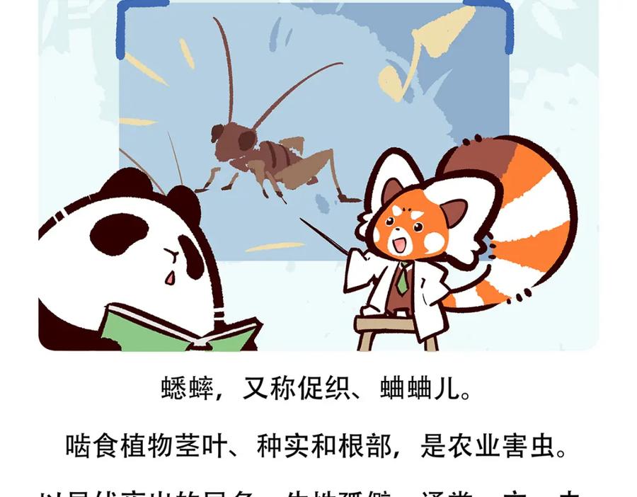 《胖达x胖达》第136话 第20页