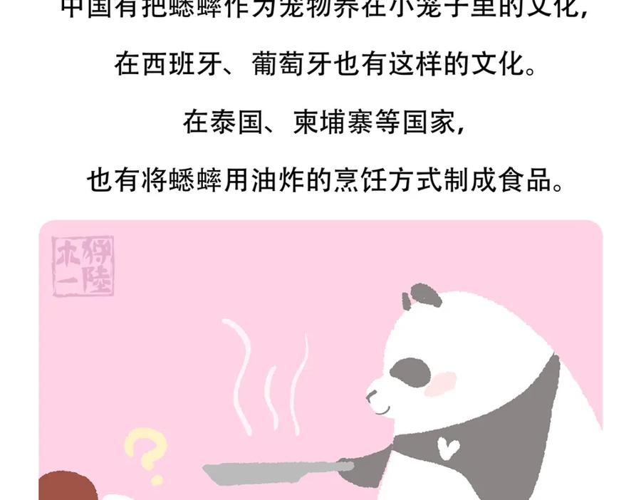 《胖达x胖达》第136话 第24页