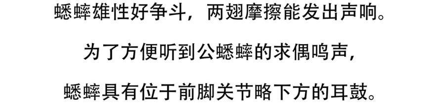 《胖达x胖达》第136话 第22页