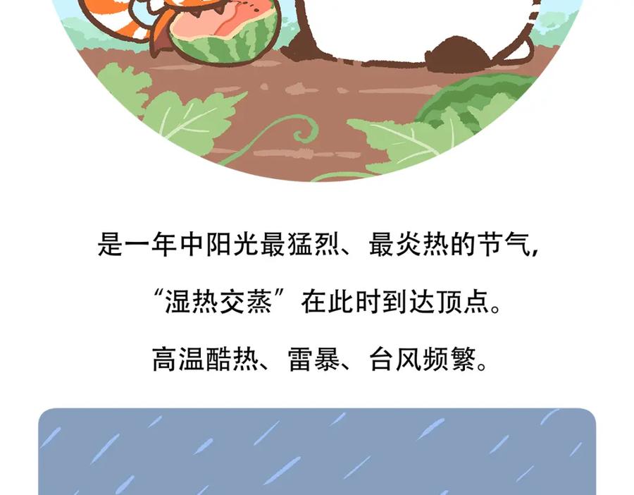 《胖达x胖达》第136话 第28页
