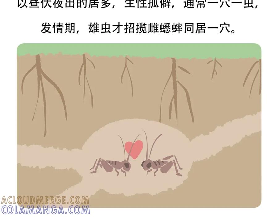 《胖达x胖达》第136话 第21页