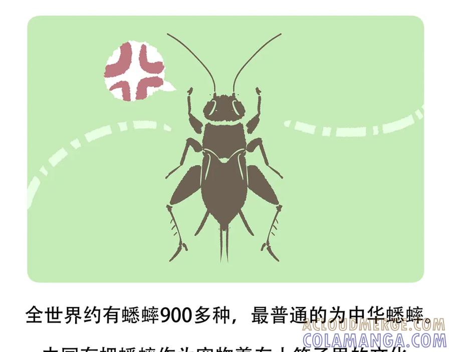 《胖达x胖达》第136话 第23页