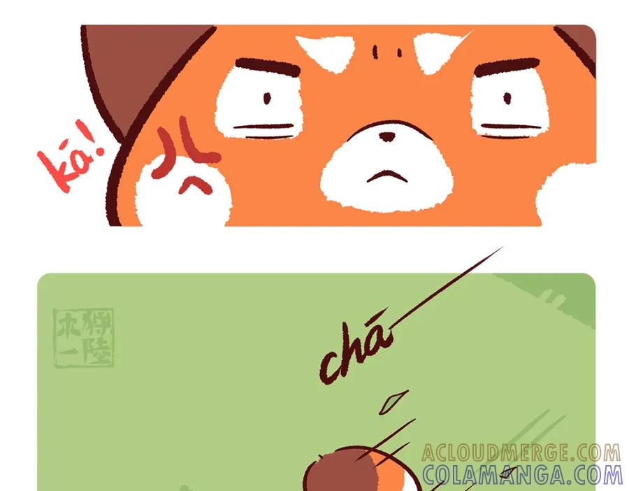 《胖达x胖达》第137话 第11页