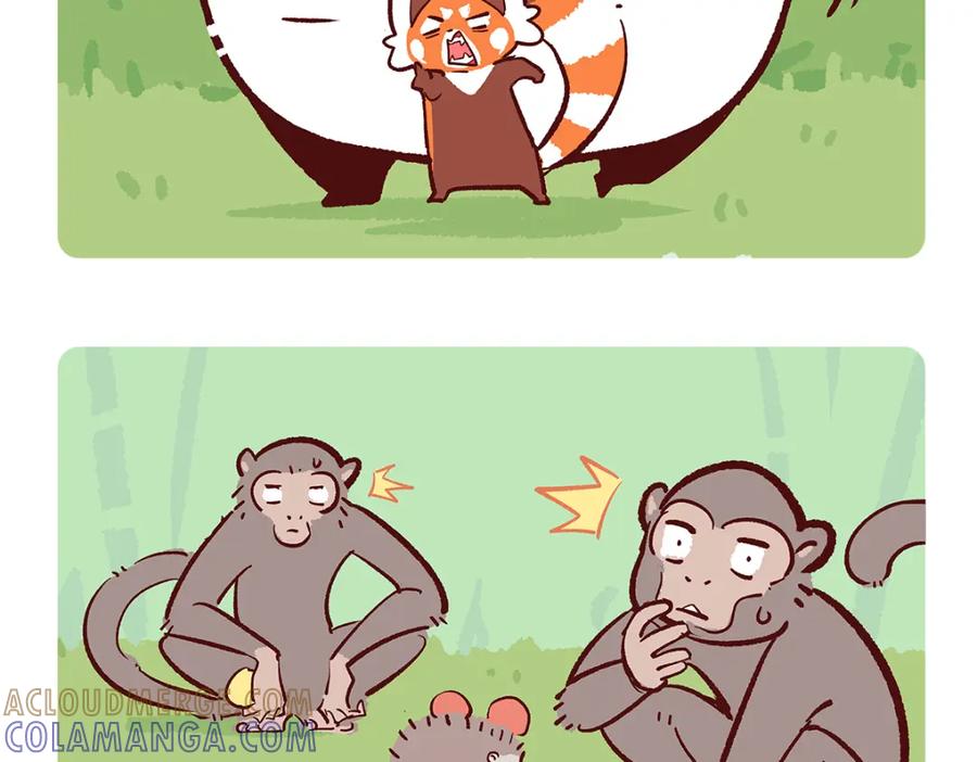 《胖达x胖达》第137话 第17页