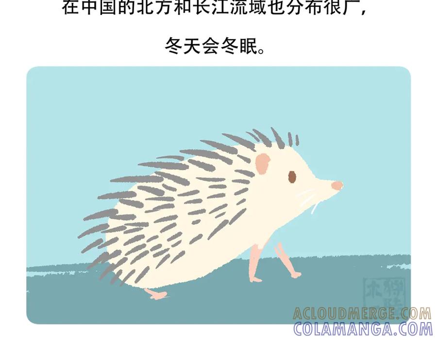 《胖达x胖达》第137话 第23页