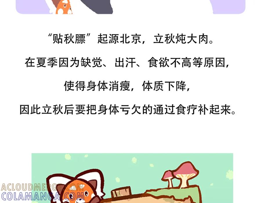 《胖达x胖达》第137话 第33页
