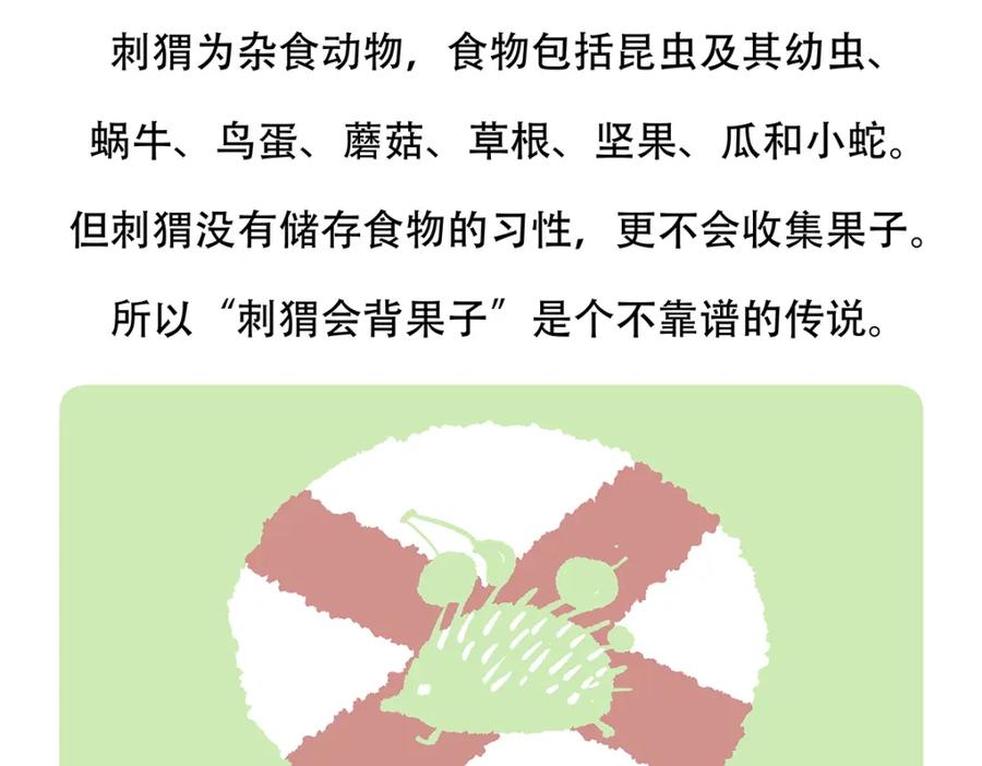 《胖达x胖达》第137话 第26页