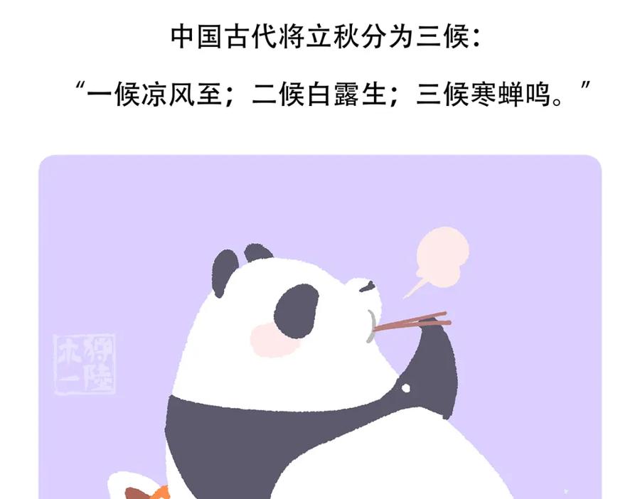 《胖达x胖达》第137话 第32页