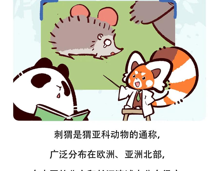 《胖达x胖达》第137话 第22页