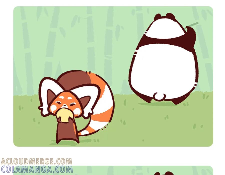 《胖达x胖达》第137话 第3页